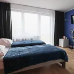 Niezapominajka