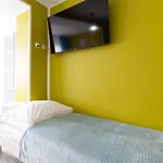 Niezapominajka 3*